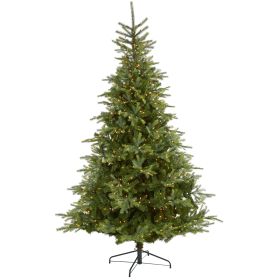 8' North Carolina Spruce Xmas Tree w/650 LEDs & 1303 Tips