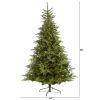 8' North Carolina Spruce Xmas Tree w/650 LEDs & 1303 Tips