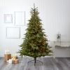 8' North Carolina Spruce Xmas Tree w/650 LEDs & 1303 Tips