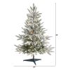3' Flkd Manchester Spruce Xmas Tree w/50 Lights & 133 Tips
