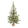 4' Fraser Fir Xmas Tree w/100 LEDs, 403 Tips, Burlap Base