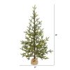 4' Fraser Fir Xmas Tree w/100 LEDs, 403 Tips, Burlap Base