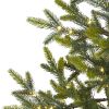 4' Fraser Fir Xmas Tree w/100 LEDs, 403 Tips, Burlap Base