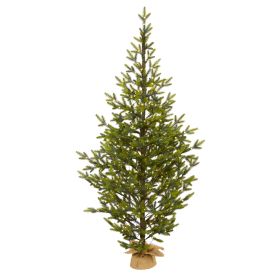 6' Fraser Fir Xmas Tree w/250 LEDs 1243 Tips Burlap Base