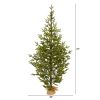 6' Fraser Fir Xmas Tree w/250 LEDs 1243 Tips Burlap Base