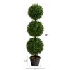 3' Boxwood Triple Ball Topiary Tree (Indoor/Outdoor)