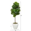 52" Fiddle Leaf Artificial Tree in White Planter