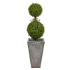 4' Double Boxwood Topiary Artificial Tree in Cement Planter