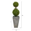 4' Double Boxwood Topiary Artificial Tree in Cement Planter