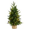 2' Christmas Tree w/35 Clear LED Lights in Decorative Basket