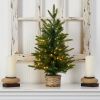 2' Christmas Tree w/35 Clear LED Lights in Decorative Basket
