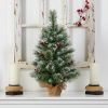 2' Snow Tipped Pine and Berry Xmas Tree w/35 LEDs in Burlap