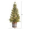 26" Pine "Natural Look" Tree in Decorative Planter