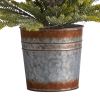 26" Pine "Natural Look" Tree in Decorative Planter